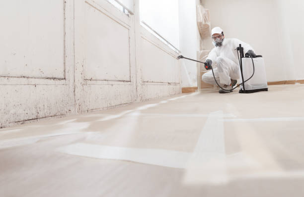 24/7 Emergency Mold Inspection experts in Roanoke, IL